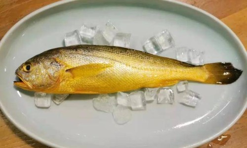 驴皮营养价值及功效-驴皮和猪皮营养价值对比、驴皮和猪皮营养价值哪个高 -驴皮和猪皮营养价值网