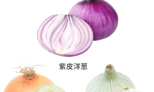 驴皮营养价值及功效-驴皮和猪皮营养价值对比、驴皮和猪皮营养价值哪个高 -驴皮和猪皮营养价值网