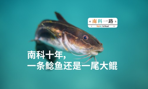 驴皮和驴肉的区别-驴皮和猪皮营养价值对比、驴皮和猪皮营养价值哪个高 -驴皮和猪皮营养价值网